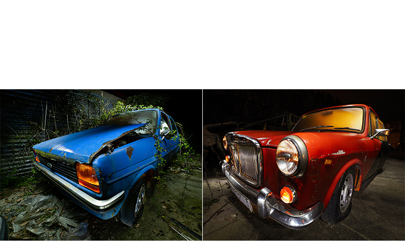 La bellesa del rovell