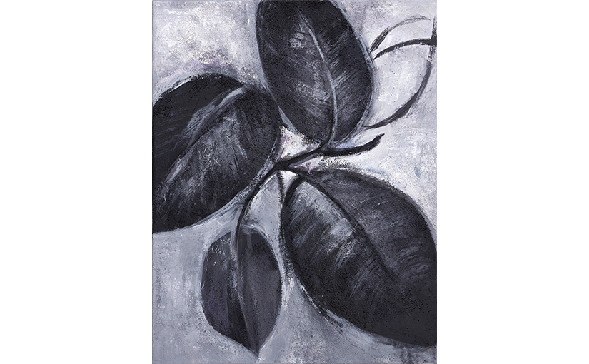 EL FICUS DE L’ÀVIA