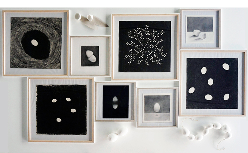 EL HUEVO GENERADOR DE VIDA