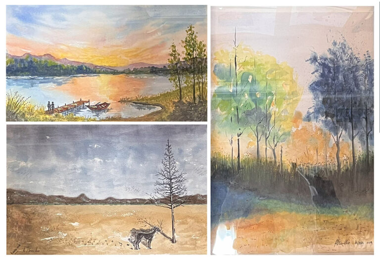 ELS COLORS DE LA TRISTESA I L’ALEGRIA