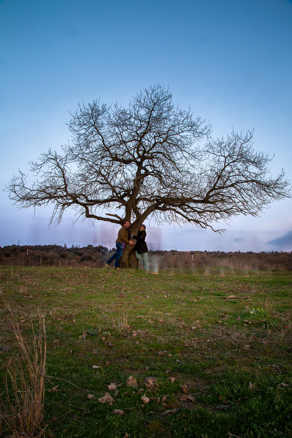 L’arbre de l’amistat