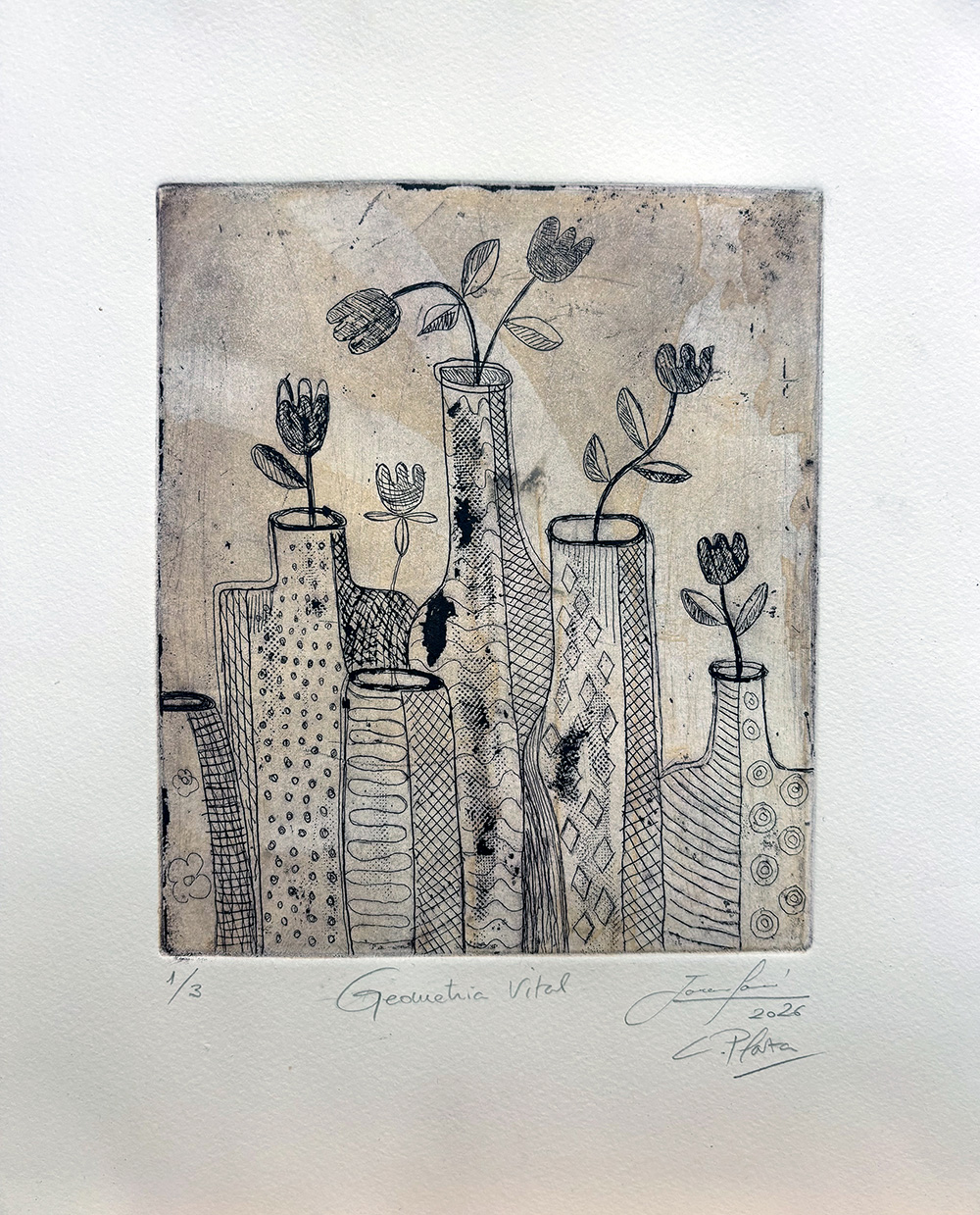 Geometria Vital